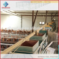 structure en acier granges de volailles / élevage de poulet granges de volailles / granges de volailles préfabriquées